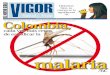 Vigor (7-14 Mayo)