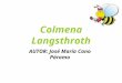 Colmena langsthroth (shema)