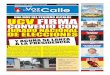 La Voz de la Calle - Edición Nº 104