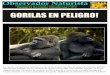 Gorilas En Peligro