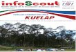 Info Scout 134