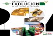 Indicadores de Evolución de la Provincia de Tucumán Nro 3