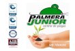 PALMERA JUNIOR - PORTAFOLIO DE SERVICIO