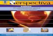 Revista Perspectiva Junio 2007
