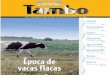 Tambo Nº 61 - Abril 2012