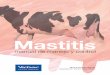 Manual Mastitis