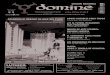 Domine Cultural 34