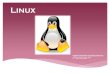 Versiones de Linux