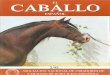Revista El Caballo Español 1992, n.89