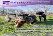 Perrikus Revista nº1 enero 2013