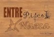 Carta "Entre Pisco y Nazca"
