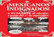 Jornada Nacional de Mexicanos Indignados