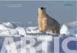Àrtic, tresor natural