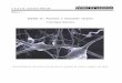 Estructura y Función del tejido Nervioso