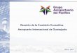 Comisión Consultiva del Aeropuerto Internacional de Guanajuato