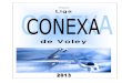 Proyecto: Liga "CONEXA VOLEY"