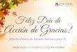 Ofertas Accion de Gracias 2012