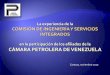 Experiencia de la Comisión de Ingeniería en relación con afiliados de la CPV - Venezuela