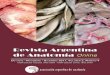 Revista Argentina de Anatomía Online 2011; 2(4): 101-136