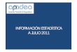 Información Estadistica - julio 2011