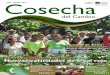 Cosecha del Cambio - Cuarta Edición / Julio - Agosto 2012