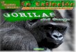 Gorilas EN EXTINCIÓN. 5 Entre Vistas Edic. especial 01
