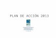 Plan de Acción FEAPS 2013