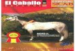 Revista El Caballo Español 2006, n.177
