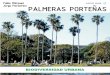 Palmeras Porteñas