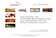 Informe Exportaciones Araucanía 2010 Prochile