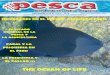 Revista Pesca setiembre 2012