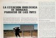 Fauna Iberica 13.La estacion biologica de Doñana.Blanco y Negro.08.07.1967