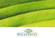 Ecofest 2014  - Brochure