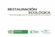 Cartilla Restauración Ecológica " Una Estrategia para la Recuperación de los Bosques"