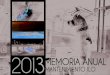 Memoria anual mantto 2013