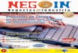 Revista Negocios e Industria febrero-marzo 2013