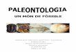 Paleontologia: Un món de fòssils
