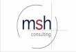 Brochure MSH Consulting 2012