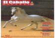 Revista El Caballo Español 2004, n.161