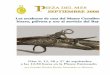 DUEÑAS, G. 2008: Los arcabuces de caza del Museo Cerralbo: hierro, pólvora y oro al servicio del