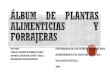 Album de plantas alimenticias y forrajeras