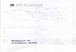 TPF PLANEGE - Rapport e Comptes 2008