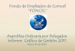 Informe FONCEL Asamblea 2012 para Intranet