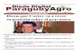 Diario Digital Paraguay Agro - 15/07/13