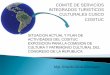 Informe del Comité de Servicios Integrados Turísticos y Culturales del Cusco