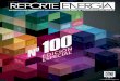 Edición 100 Reporte Energia