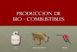 PRODUCION BIO COMBUSTIBLES