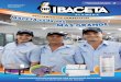 Revista Ibaceta Alameda Diciembre 2011 - Equipamiento Comercial