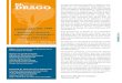 Número 04 Memoria del SAP 2008-2009. Revista el Drago