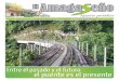 Periódico El Amagaseño 2012 edición 64